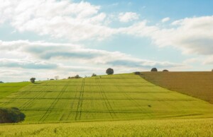 V4 potřebuje jít k Zelené dohodě svým tempem i stylem (12 / 2021)